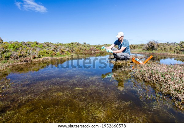 Scientist measuring water quality parameters in\
a wetland.