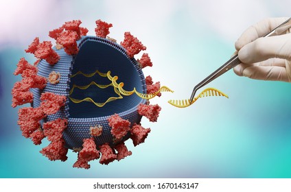 Scientist is modifying genes in RNA of virus in laboratory. Biology and viral genetics concept.