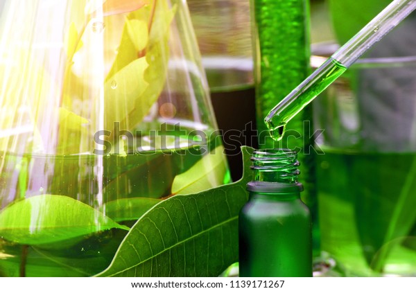 Scientist with natural drug research, Natural\
organic botany and scientific glassware, Alternative green herb\
medicine, Natural skin care beauty products, Research and\
development concept.