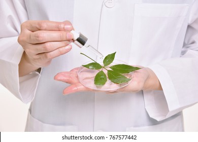 Scientist With Natural Oil Skin Care, Green Herbal Organic Beauty Product Discovery At Science Lab. (Selective Focus)