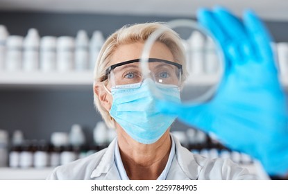 Scientist with petri dish in hand and science study in lab, medical research and senior woman in face mask. Scientific innovation, expert doctor in biotechnology or pharmacy with analysis of sample - Powered by Shutterstock