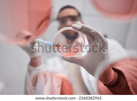 Scientist, petri dish and pharma test worker man working on science research in a laboratory. Medical container, study and analytics of a pharmaceutical solution of a lab with hospital data