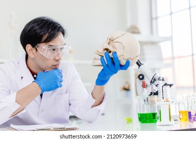 Scientist Physical anthropology in biological science lab studying human bone looking wonder at the skull to study age of ancient head