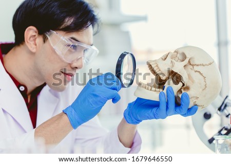 Scientist Physical anthropology in biological science lab studying human bone looking with Magnifying glass in skull to study mount and teeth age of ancient people