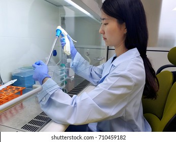 The Scientist Pipettes An Animal Cell Sample On A Clean Bench.