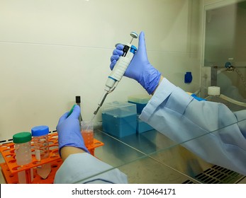 A scientist is pipetting a microbial sample with a blue laboratory glove.
