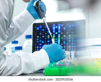 Scientist pipetting sample into a vial for DNA testing - Shutterstock ID 2025910556