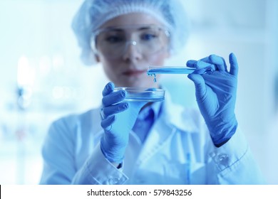 Scientist Pouring Sample Into Petri Dish