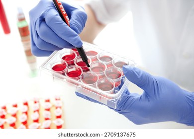 Scientist prepares samples in laboratory for analysis during a research experiment