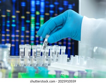 Scientist preparing a DNA sample for testing.