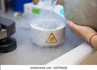 Scientist Preparing Samples For Cryo Electron Microscopy In Liquid Ethan Under Liquid Nitrogen Temperature.