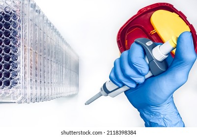 A Scientist Processing Hazardous Biological Samples In A Biotech Research Laboratory In A Drug Discovery Facility.