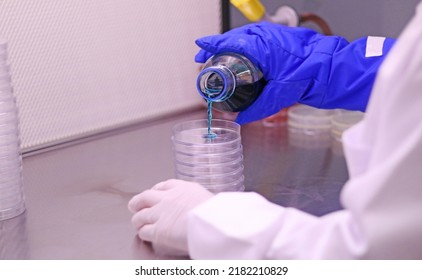 A Scientist With A Protective Glove Pours A Hot Microbiological Culture Medium Over Petri Dishes