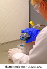 A Scientist With A Protective Glove Pours A Hot Microbiological Culture Medium Over Petri Dishes