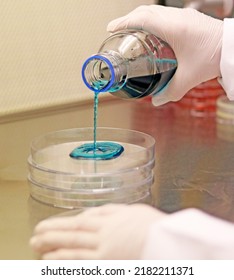 A Scientist With A Protective Glove Pours A Hot Microbiological Culture Medium Over Petri Dishes