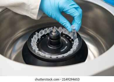 Scientist Puts Microcentrifuge Tubes Into Centrifuge For Phase Separation. DNA And Cell Analysis At Microbiology Laboratory. 