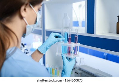 Scientist putting test tube in rack, closeup. Laboratory analysis