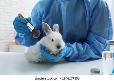 Scientist with rabbit and makeup brush in chemical laboratory, closeup. Animal testing - Powered by Shutterstock