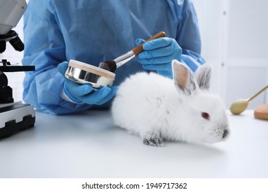 Scientist with rabbit and makeup products in chemical laboratory, closeup. Animal testing - Powered by Shutterstock