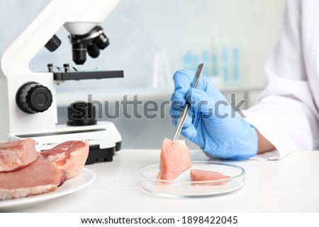 Scientist with raw meat at table in laboratory, closeup. Poison detection