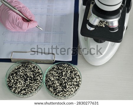 A scientist records data while examining white and black sesame seeds under a microscope. Features of the protein complex in sesame seeds and their benefits