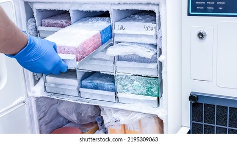 A scientist removing frozen samples from z freezer. - Powered by Shutterstock