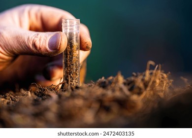 scientist researcher studying soil and forest health effects from climate change. university student research on bush soil structure and biology diversity. holding a soil sample in hand