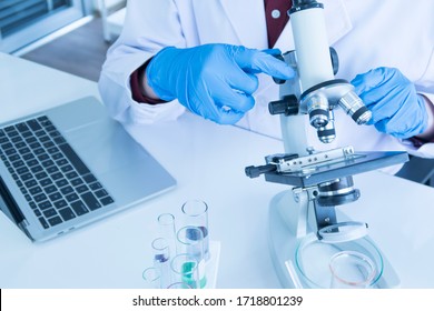 Scientist, researcher, technician or student wear blue rubber gloves while using a microscope in a modern laboratory. Education Chemistry and science medical research concept.
