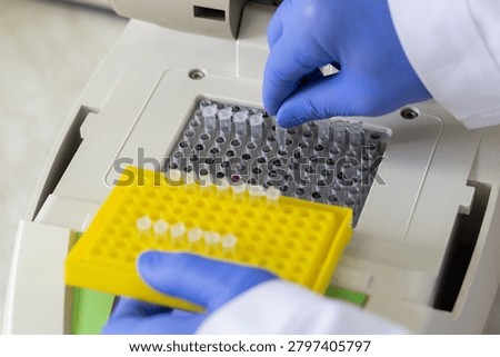 A scientist sets up small Eppendorf tubes with samples for detection on a detector. A DNA amplifier is loaded with samples in test tubes.