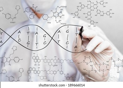 scientist sketching DNA structure