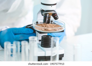 Scientist Studying Samples Of Soil In Laboratory