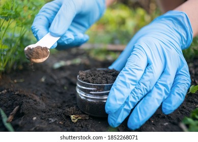 Scientist Takes A Soil Sample.  Soil Science Concept.