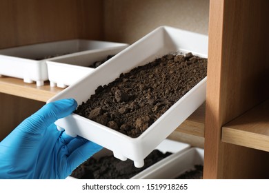 Scientist taking container with soil sample for agriculture analysis in laboratory, closeup