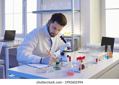 Scientist Taking Notes On Paper. Portrait Of Serious Man In Lab Coat Writing Scientific Research Data Analysis Report Sitting At Table With Microscope In Pharma Or Microbiology Science Laboratory