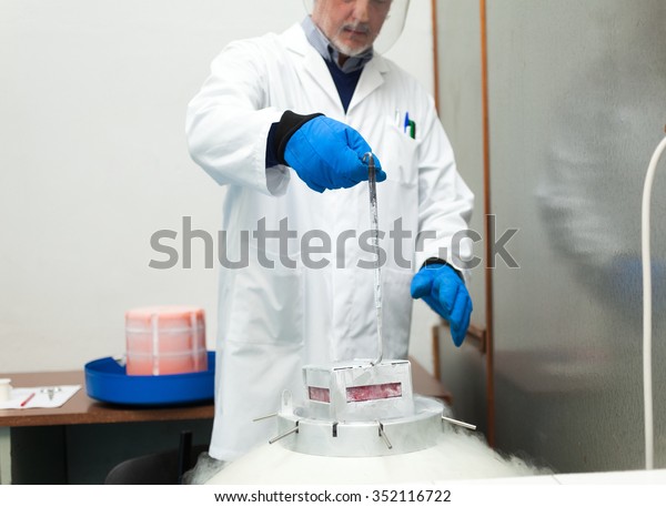 Scientist Taking Samples Cryogenic Nitrogen Container Stock Photo (Edit ...