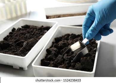 Scientist Taking Soil Sample From Container, Closeup. Laboratory Research