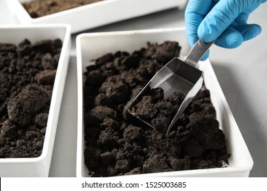 Scientist Taking Soil Sample From Container, Closeup. Laboratory Research