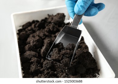 Scientist Taking Soil Sample From Container, Closeup. Laboratory Research