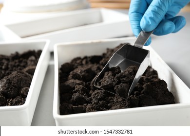 Scientist Taking Soil Sample From Container, Closeup. Laboratory Research