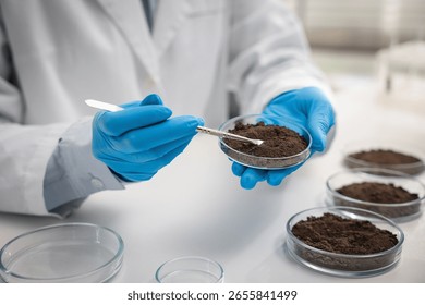 Scientist taking soil sample for research at white table in laboratory, closeup