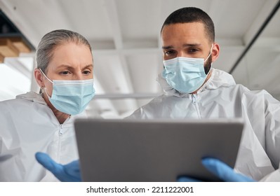 Scientist Team, Covid Laboratory Research And Tablet Information, Data Analysis And Medical Test Results. Science Experts With Face Masks Ppe Planning Digital Innovation, Vaccine Development And Tech