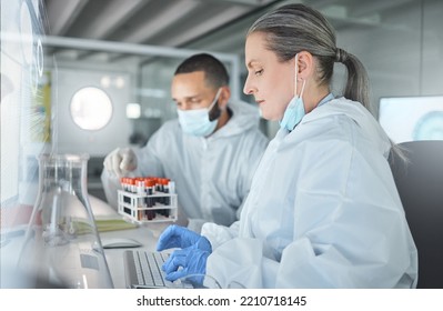 Scientist Team, Covid Research And Computer In A Pathology Lab While Typing Medical Information, Analysis And Results. Chemist Man And Woman Using Technology And PPE For Safety, Health And Wellness