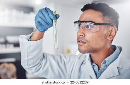 Scientist, test tube analysis and working in laboratory for plants science innovation, agriculture research or ecology pharmacist study. Doctor, chemistry expert and botanical development in lab - Powered by Shutterstock