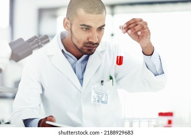 Scientist With Test Tube For Medical Research, Healthcare Or Science Testing, Checking DNA Blood Sample. Serious Laboratory Professional Searching For Marburg Virus, Ebola Or Monkeypox Cure