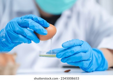Scientist testing gmo egg for quality control of eggs in chemical laboratory, Food science expert inspecting a dairy product, Agriculture farm production industry, biotechnology medicine research