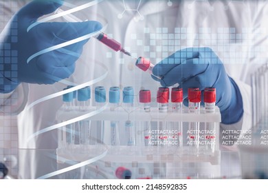 Scientist With Tube Pcr And Virtual Screen With Data Scientific At Genetic Engineering Lab. Biomedical Engineer Genetic Working With Microtubes In Biotechincal Laboratory