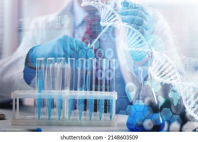 Scientist With Tube Pcr And Virtual Screen With Data Scientific At Genetic Engineering Lab. Biomedical Engineer Genetic Working With Tubes In Biotechnical Laboratory