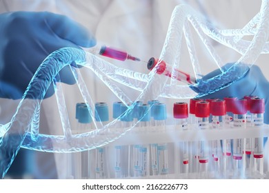 Scientist With Tube Pcr And Virtual Screen With Data Scientific At Genetic Engineering Lab. Biomedical Engineer Genetic Working With Tubes In Biotechnical Laboratory