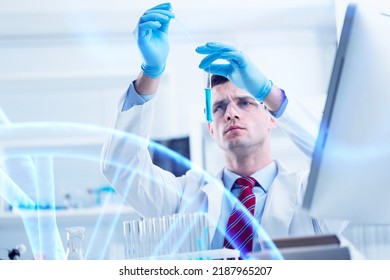 Scientist With Tube Pcr And Virtual Screen With Data Scientific At Genetic Engineering Lab. Biomedical Engineer Genetic Working With Tubes In Biotechnical Laboratory