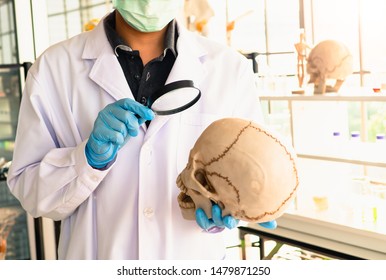 Scientist Use Magnifying Glass Look Skull Stock Photo 1479871250 